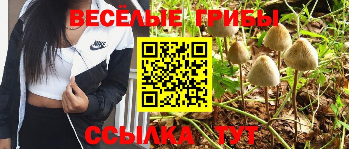 Codein Москва