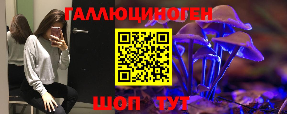 где можно купить   Галлюциногенные грибы Cubensis  Вход с VPN  Псилоцибиновые грибы GOLDEN TEACHER  Москва 